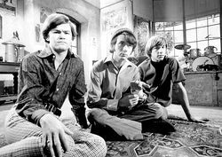 Musical Comedy’s Latest Revival Owes a Lot to the Monkees